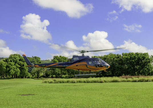 MHL - Helicopter Photoshoot_Final-1