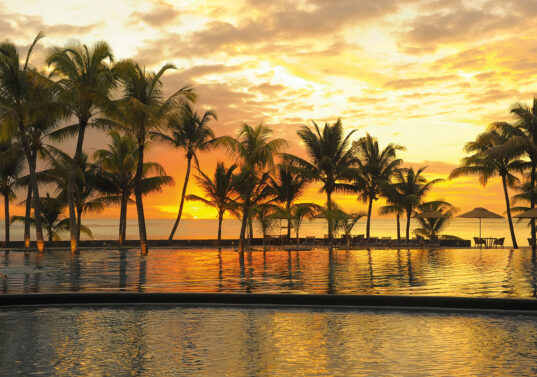 MUTPOL1Dba11 (1) MUTPOL1Dba11 (1)