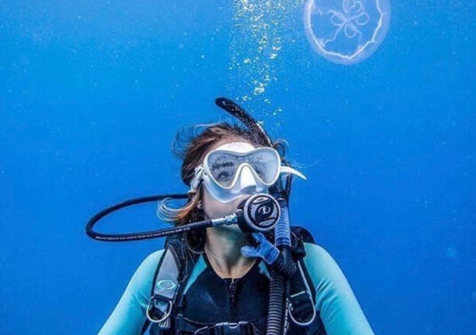 81e0df768bf4c50c08adeb54f51d2b83-2